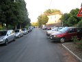 IMG_2006