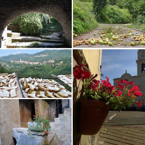 scorci del paesaggio di Ziona