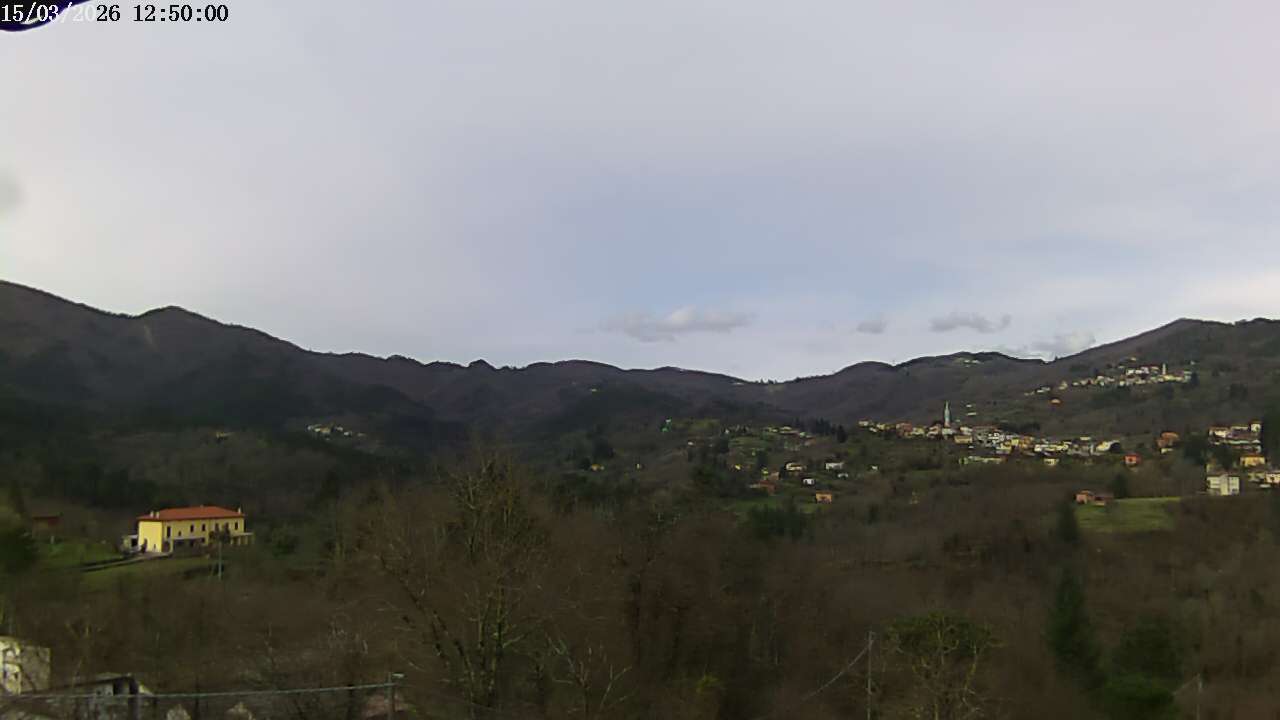 immagine della webcam nei dintorni di Luzzi: webcam Carro